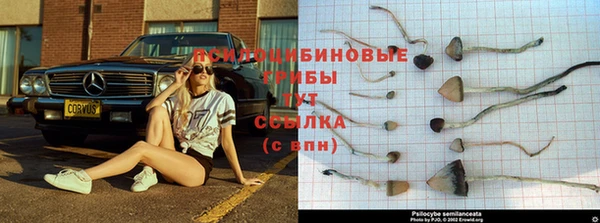 мескалин Алексин